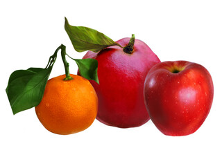 pomegranate, apple and madarin with foliage