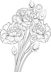 Carnation flowers illustration coloring page, simplicity, Embellishment, monochrome, vector art, Outline print with blossoms gillyflower, leaves, and buds isolated on a white background.