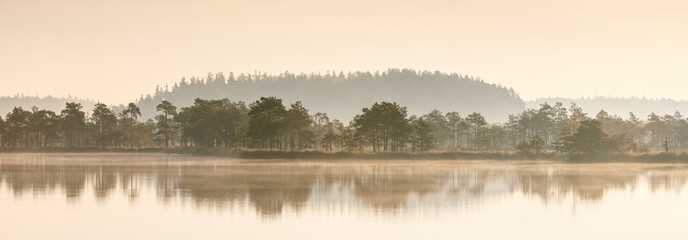 Tall trees and reflections on a bog lake early in the morning
