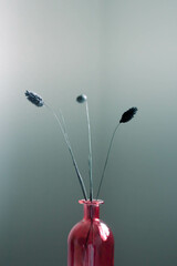 Minimalistic elegant dry flowers in a pink transparent glass vase