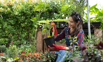 Young Asian beautiful woman takes care of the garden. Female smiling in checkered shirt and straw hat gardening outside at summer day.