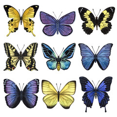 Obraz na płótnie Canvas Beautiful colorful butterflies. Hand-drawn watercolor illustration isolated on white background. Can be used for card, poster, stickers, scrapbook