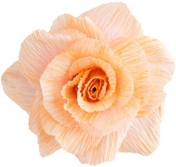 Isolated single paper flower rose made from crepe paper