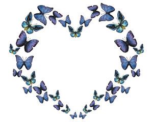 Frame blue violet butterflies. Shape of a heart. Hand-drawn watercolor illustration isolated on white background. Can be used for card, poster