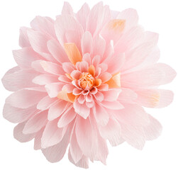 Isolated single paper flower dahlia made from crepe paper - obrazy, fototapety, plakaty
