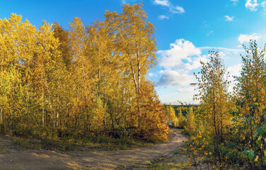A path along the autumn forest on the lake shore.