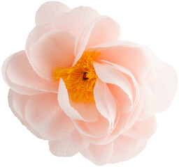 Isolated single paper flower peony made from crepe paper