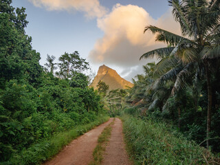 Tahiti island nature landscape, French Polynesia - obrazy, fototapety, plakaty