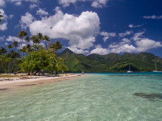 Tahiti island nature landscape, French Polynesia