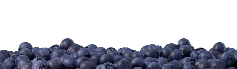 Fruit and healthy food concept. Fresh blueberry isolated on  transparent background. 3d rendering illustration. PNG format