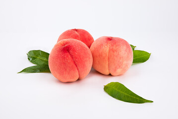 Red fresh peaches with water droplets. Close-up of three fruits from the front.