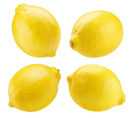 Collection of delicious lemon fruits cut out