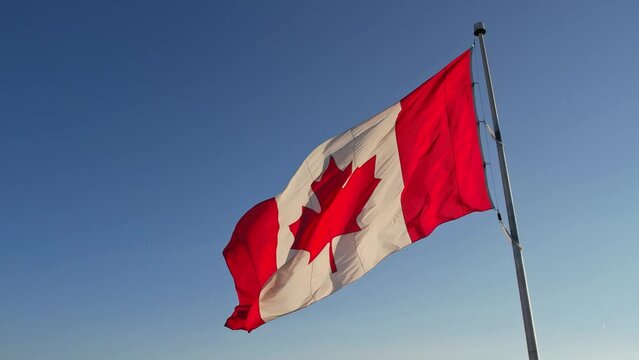 Flag of Canada flying against a summer blue sky. Canadian flag waving on the wind. Canadian flag with maple leaf on the pole slow motion movement.