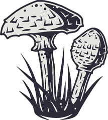 Autumn forest parasol mushroom picking, vegetarian menu