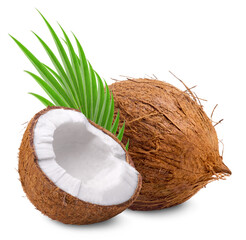 Coconut isolated. Whole coconut and half coconut with palm leaf isolated on white background.