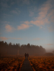 People walking on a wooden path in a sunrise in the fog in Belgium