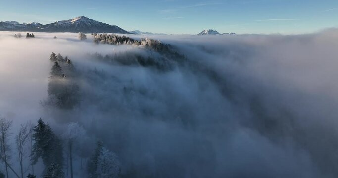 Aerial early morning mist flows over snowy forest in morning sun 4K