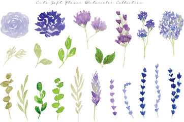 a set of cute aesthetic flower and leaf watercolor