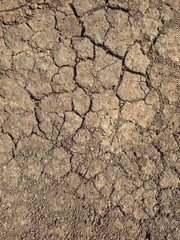 Cracked dry ground texture. Cracked dry soil background. Dry land with cracks. Brown rough surface of the soil during the summer drought. Ecology, climate change and global warming.