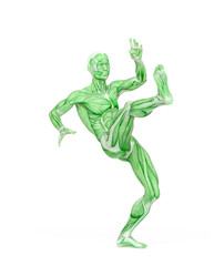 average man muscle maps is kicking up