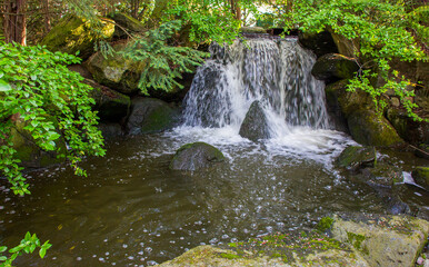 Fototapeta na wymiar waterfall with coniferous trees in Japanese garden in Wroclaw