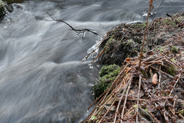 Close-up of beautiful stream in an old forest in winter