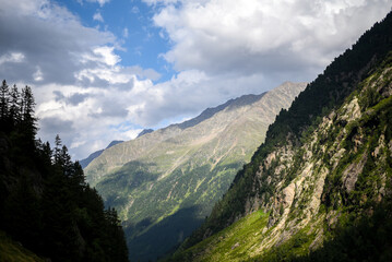 Green Mountain Landscape