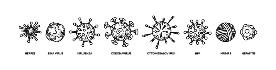 WebSet of hand drawn different types of viruses. Vector illustration in sketch style. Realistic scientific drawing