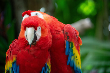 cancun vacation mexico sumer 