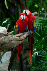 cancun vacation mexico sumer 