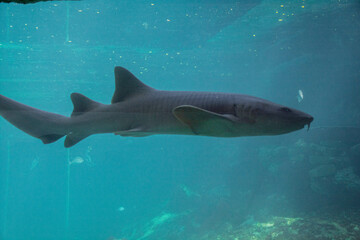 Obraz premium cancun vacation mexico sumer 