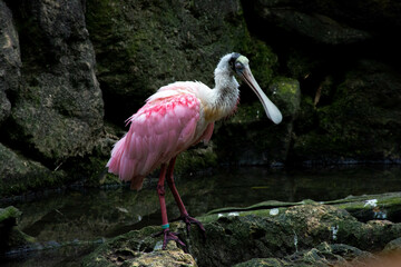 cancun vacation mexico sumer 