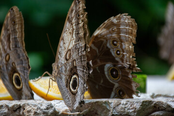 cancun vacation mexico sumer 