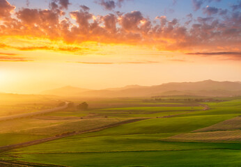 green field in countryside at sunset in the evening light. beautiful spring landscape in the mountains. grassy field and hills. rural scenery © Yaroslav