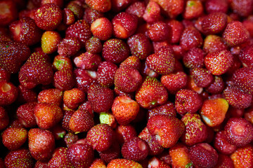 Strawberries background. Strawberry.