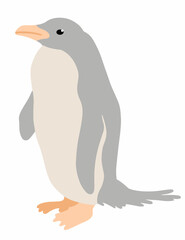 albino penguin vector illustration