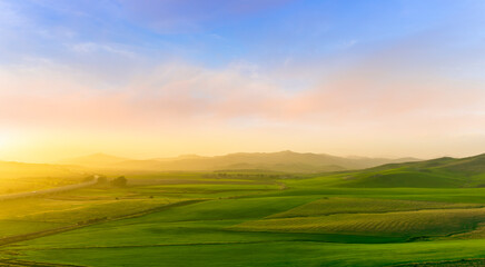 Fototapeta premium green field in countryside at sunset in the evening light. beautiful spring landscape in the mountains. grassy field and hills. rural scenery