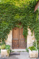 Fototapeta na wymiar Green ivy growing over a wooden door.
