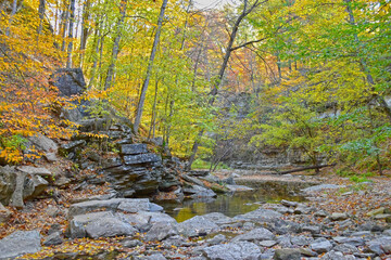 Autumn is coloring the forest around McCormick's Creek, Indiana.