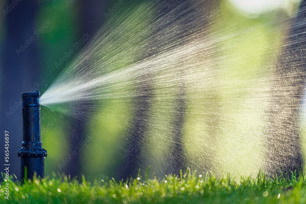 Wall mural automatic sprinkler system watering the lawn close up