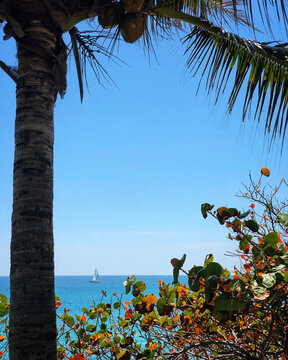 Boca Raton Sailboat