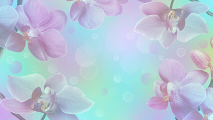 Fototapeta na wymiar Pink orchids flowers on a light multi colored spring background