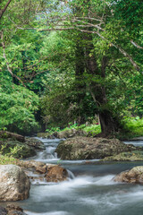 Naklejka na ściany i meble Landscape of a small stream in klong Lan national park of Thailand