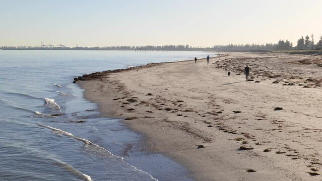 Man walking Dog on Beach in Semaphore in Morning during Winter