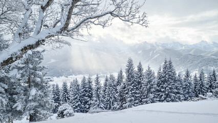 Winterlandschaft in den Ammergauer Alpen, Bayern, Deutschland