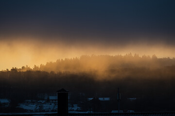 Obraz premium Snow in early sunrise over a forest.