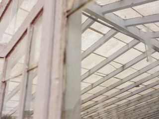 Close-up of greenhouse