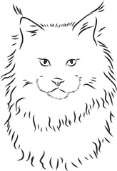 free premium cat illustration vector with high quality t shirt elements and illustration of cat