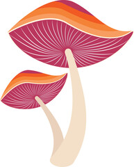 Reishi Ganoderma lingzhi mushroom transparent illustration