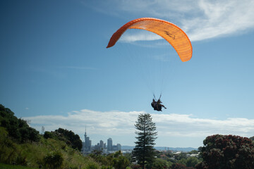 paraglider